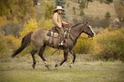 Wilderness Trails Ranch - Bayfield, Colorado - Horsing around
