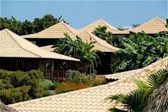Papagayo Beach & Lounge Resort - Jan Thiel Bay, Curacao - 