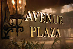 Wyndham Avenue Plaza - New Orleans, Louisiana - 