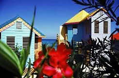 Compass Point Beach Resort - Nassau, Bahamas - 