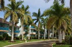 Point Village Resort - Negril, Jamaica - 
