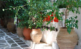 Apollonia Hotel Apartments - Athens, Greece - 