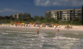 Shorewood - Hilton Head Island, South Carolina - 