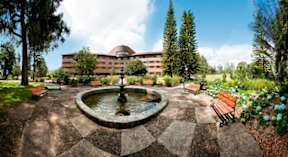 Hotel Las Lomas - Rionegro, Colombia - 