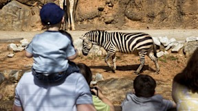 Zoo Atlanta - Atlanta, Georgia