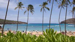 Hanauma Bay