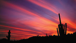 Scottsdale Sunset
