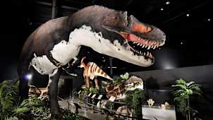 Dinosaur Walk Museum