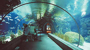 Henry Doorly Zoo