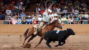 Calf Roping