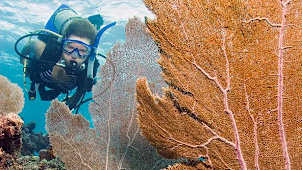 Florida Keys National Marine Sanctuary