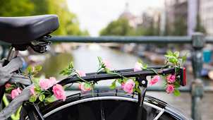 Street in Amsterdam