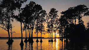 Cypress Gardens
