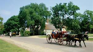 Williamsburg Carriages
