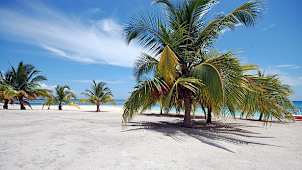Saona Island