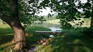 Charlottesville Pond
