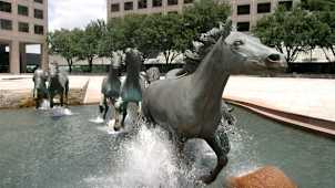Mustangs of Las Colinas