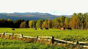Scenic Montpelier