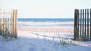 Ocean Shore