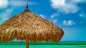 Tropical Beach Hut