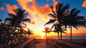 Hollywood Beach