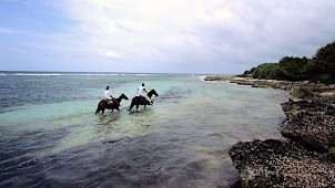 Horseback Riding