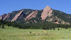 Flatiron