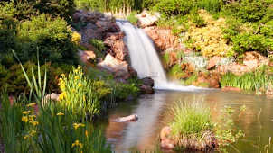 Red Butte Garden