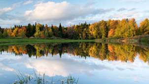 Autumn in Montpelier