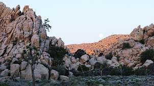 Joshua Tree National Park