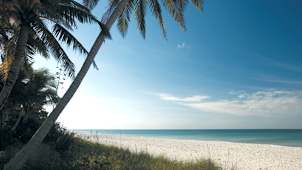 Naples Beach