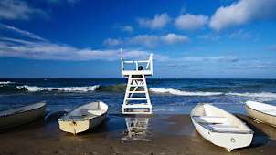 Oak Street Beach