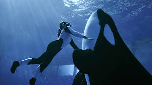 SeaWorld Orlando