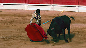 Bullfighting