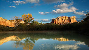 Nature Scene