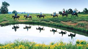 Horseback Riding