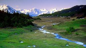Scenic Vistas