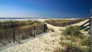 Pathway to Beach