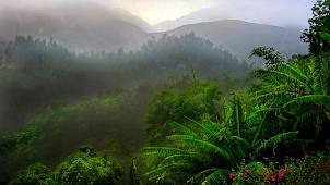 Kingston Mountains