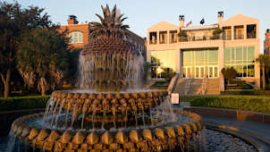 Pineapple Fountain