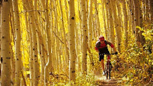 Mountain Biking