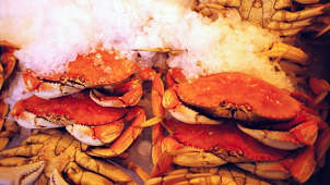 Seafood for Sale
