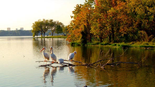 White Rock Lake