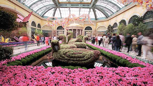 Conservatory and Botanical Gardens