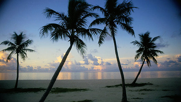 Beach Sunset
