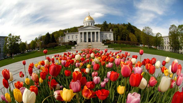 Spring in Montpelier