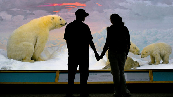 Denver Museum of Nature and Science