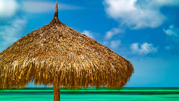 Tropical Beach Hut