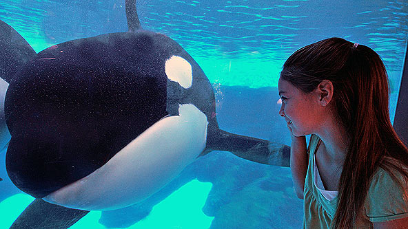 SeaWorld San Diego