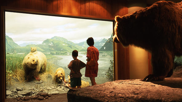Carnegie Museum of Natural History